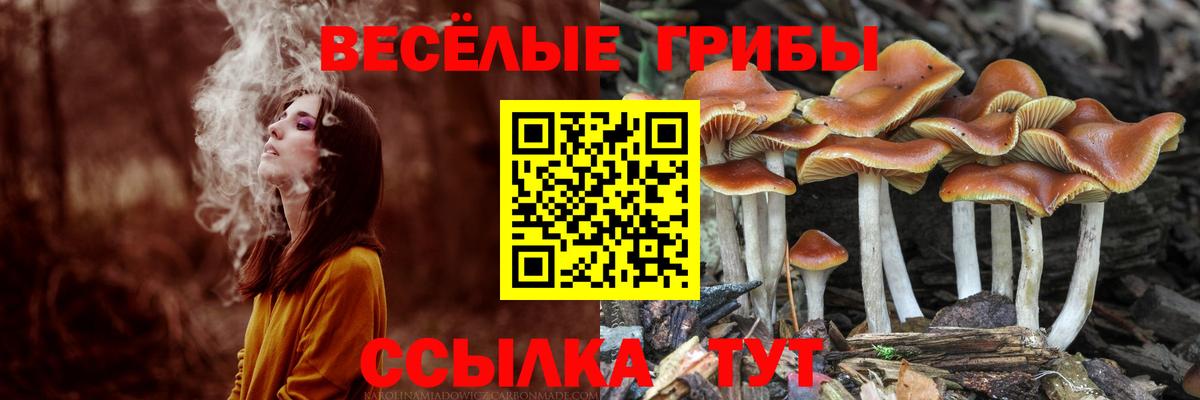 Псилоцибиновые грибы мухоморы Подольск